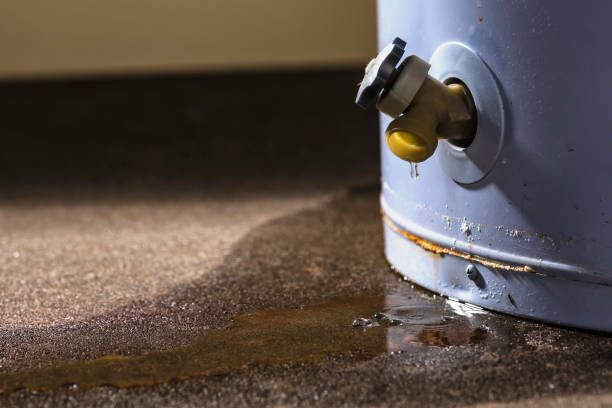 Best Fire Damage Restoration  in Murray, KY