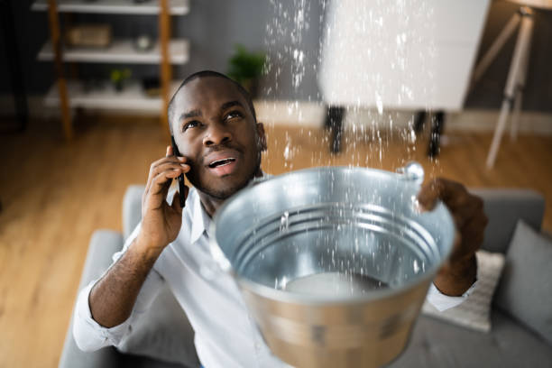 Best Flood restoration services  in Murray, KY