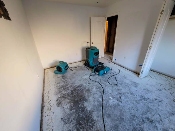 Professional Water damage restoration in Murray, KY