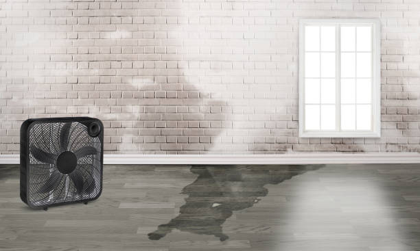 Best Emergency water damage restoration  in Murray, KY