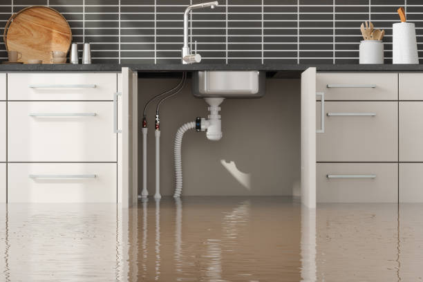 Best 24/7 water damage repair  in Murray, KY