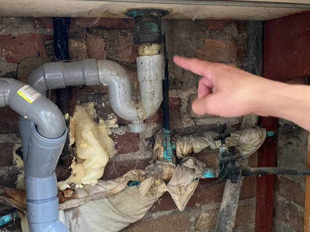 Best Water damage restoration near me  in Murray, KY
